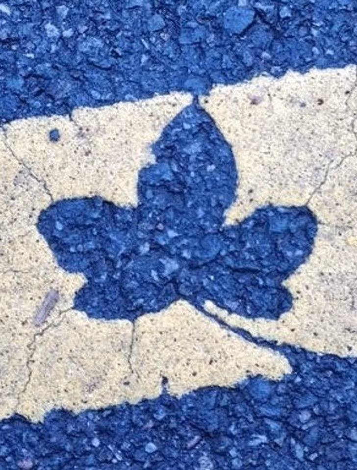 Những hình ảnh khiến bạn phải thốt lên “thật đáng kinh ngạc”