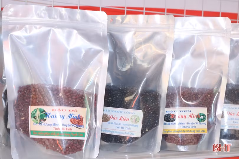 Ấn tượng gian hàng trưng bày sản phẩm nông nghiệp chào mừng Đại hội Đảng của huyện miền núi Hà Tĩnh