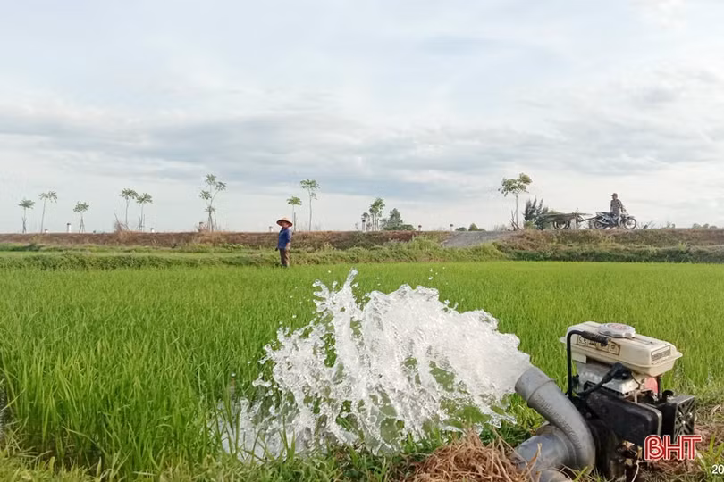 Người dân Hà Tĩnh miệt mài lao động trong nắng nóng gay gắt