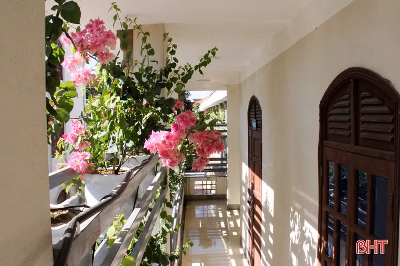 Ngắm “khu vườn” xanh mát trên ban công trụ sở làm việc ở Hà Tĩnh