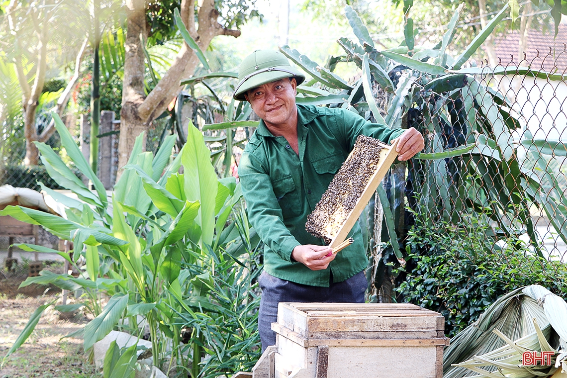 Bừng sáng đại ngàn Vũ Quang