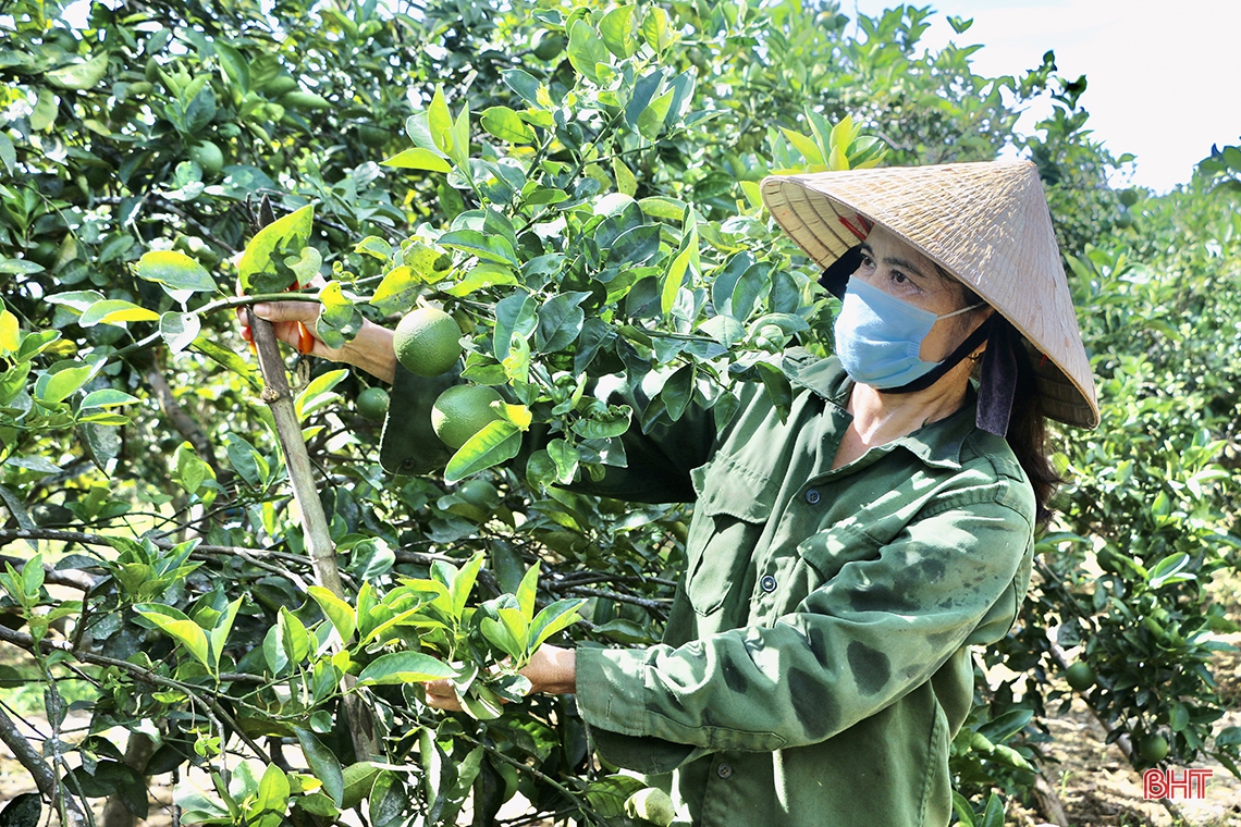 Bừng sáng đại ngàn Vũ Quang