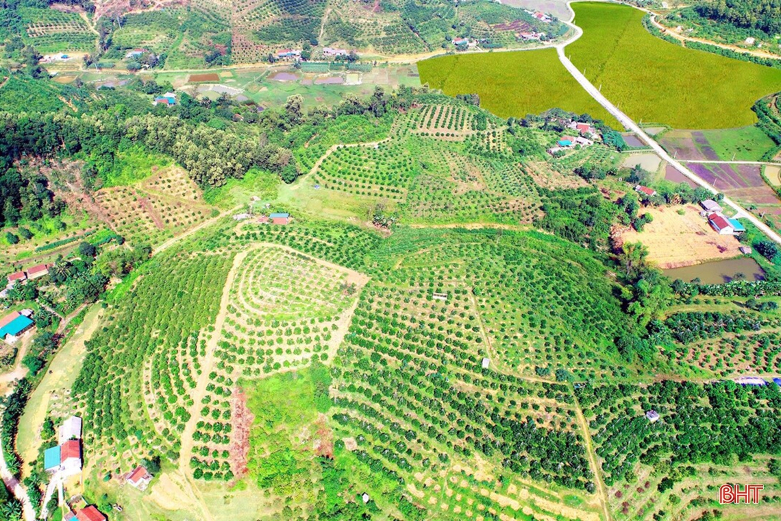 Bừng sáng đại ngàn Vũ Quang