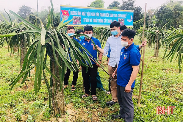 Tỉnh đoàn Hà Tĩnh nhận bằng khen trong tổ chức, triển khai Tháng Thanh niên