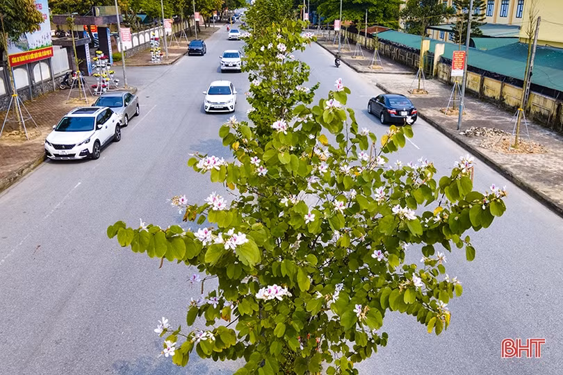 Những góc phố mướt xanh tại TP Hà Tĩnh