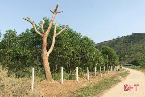 Tìm lại nét xưa của vùng đất giàu truyền thống văn hóa Hữu Bằng