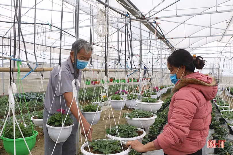 Thành phố Hà Tĩnh 15 năm “vươn mình” phát triển