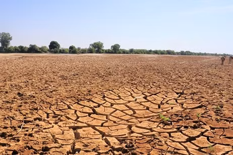 Vùng Sừng châu Phi hứng chịu hạn hán tồi tệ nhất trong nhiều thập kỷ