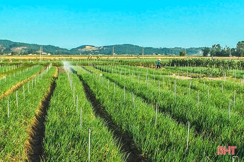 Không ngừng nghỉ trên hành trình xây dựng nông thôn mới ở Hà Tĩnh