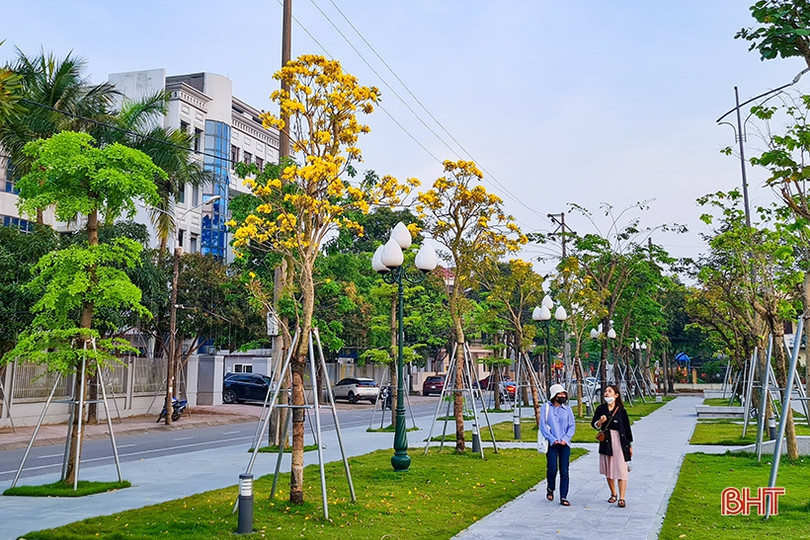 Những góc phố mướt xanh tại TP Hà Tĩnh