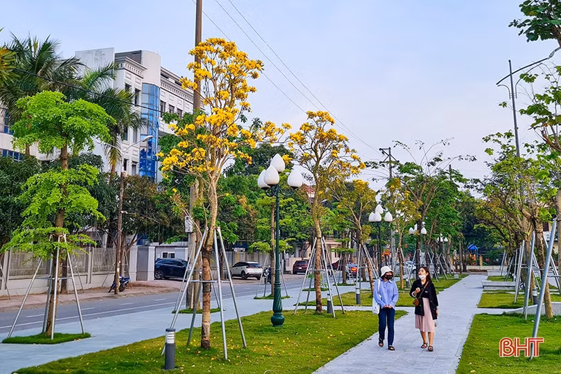 Những góc phố mướt xanh tại TP Hà Tĩnh