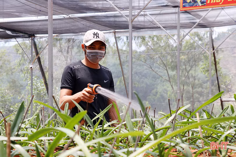 Doanh nhân trẻ rời phố về làng khởi nghiệp từ vườn lan