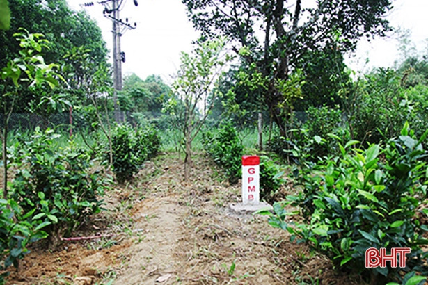 Hà Tĩnh đề nghị chuyển đổi hơn 100 ha đất rừng phục vụ xây dựng cao tốc Bắc - Nam