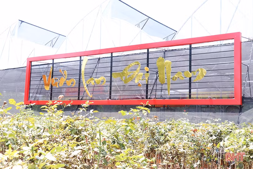 Doanh nhân trẻ rời phố về làng khởi nghiệp từ vườn lan