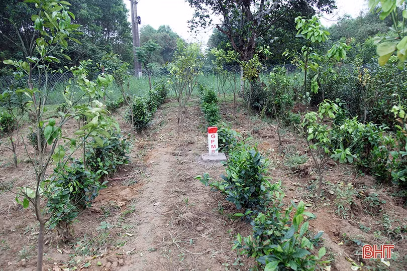 Hà Tĩnh gấp rút triển khai GPMB dự án cao tốc Bắc - Nam đoạn Bãi Vọt - Kỳ Anh