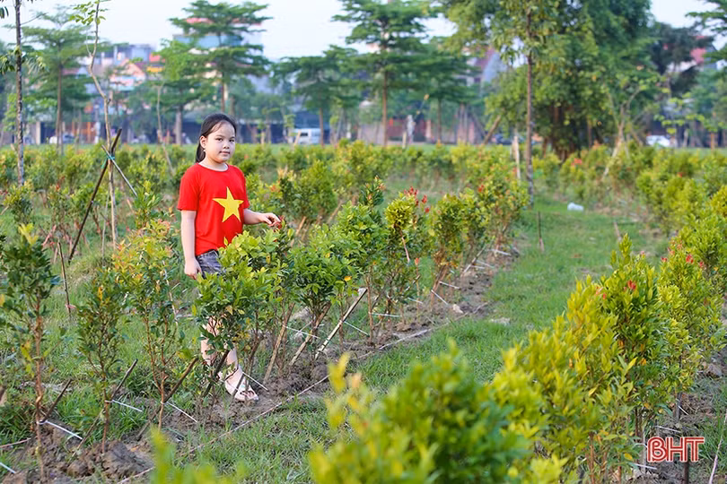 Những góc phố mướt xanh tại TP Hà Tĩnh