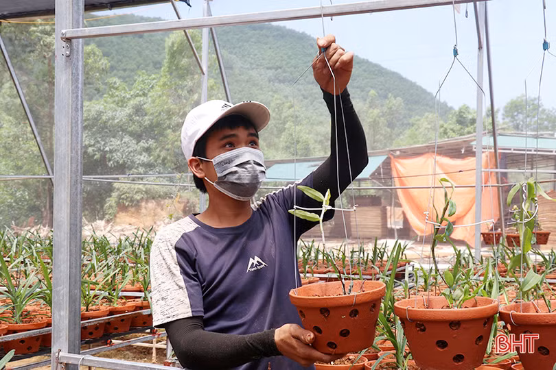 Doanh nhân trẻ rời phố về làng khởi nghiệp từ vườn lan