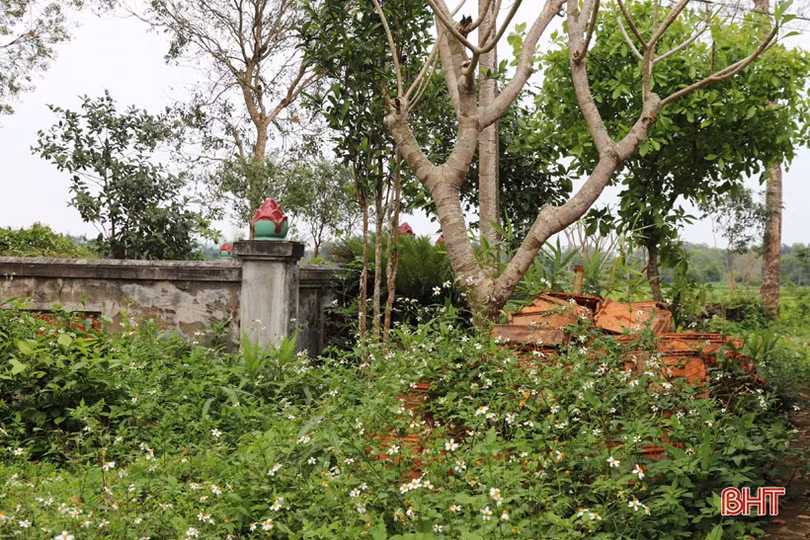 Di tích Quốc gia hơn 500 tuổi ở Hà Tĩnh xuống cấp