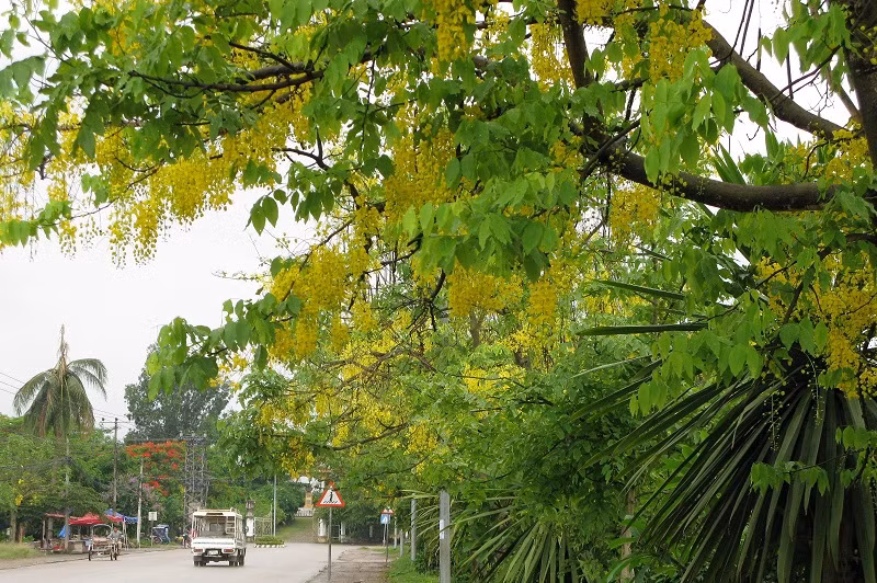 Nếu không có dịch COVID-19, tết Lào sẽ là ngày toàn dân ra đường té nước