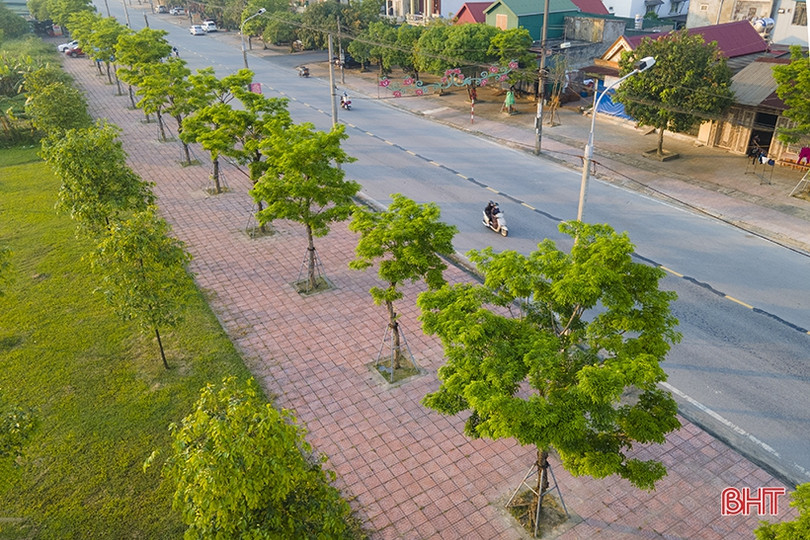 Những góc phố mướt xanh tại TP Hà Tĩnh