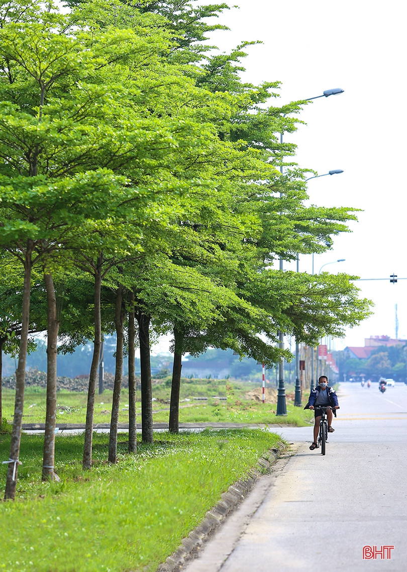 Những góc phố mướt xanh tại TP Hà Tĩnh