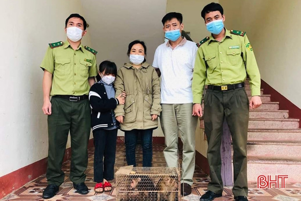 Bàn giao 2 cá thể khỉ quý hiếm cho Vườn Quốc gia Vũ Quang