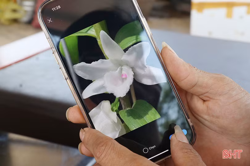 Doanh nhân trẻ rời phố về làng khởi nghiệp từ vườn lan