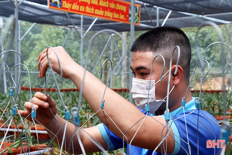 Doanh nhân trẻ rời phố về làng khởi nghiệp từ vườn lan