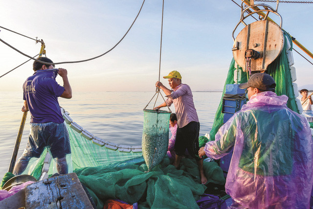 Hàn Quốc gia hạn hợp đồng cho lao động là thuyền viên