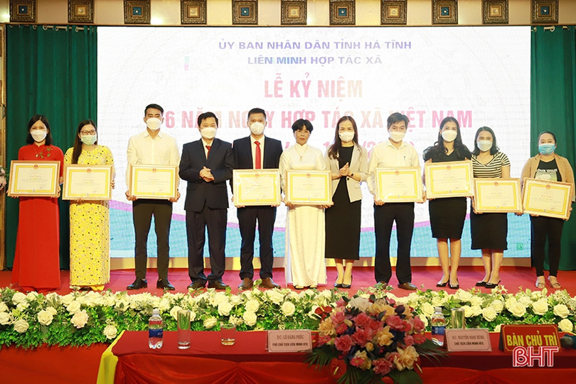 Nỗ lực phát triển kinh tế tập thể ngày càng lớn mạnh ảnh 6 Nỗ lực phát triển kinh tế tập thể ngày càng lớn mạnh