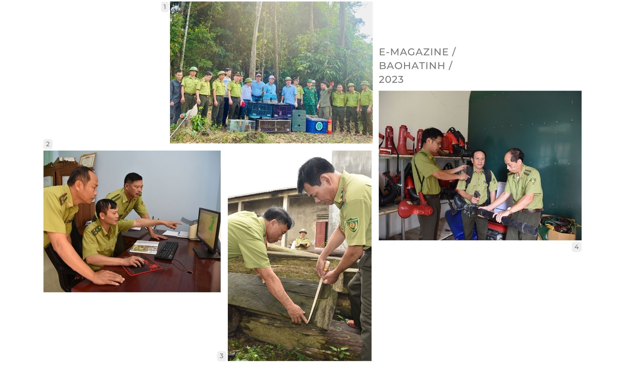 Kiểm lâm Hà Tĩnh với sứ mệnh bảo vệ và phát triển rừng ảnh 7 Kiểm lâm Hà Tĩnh với sứ mệnh bảo vệ và phát triển rừng