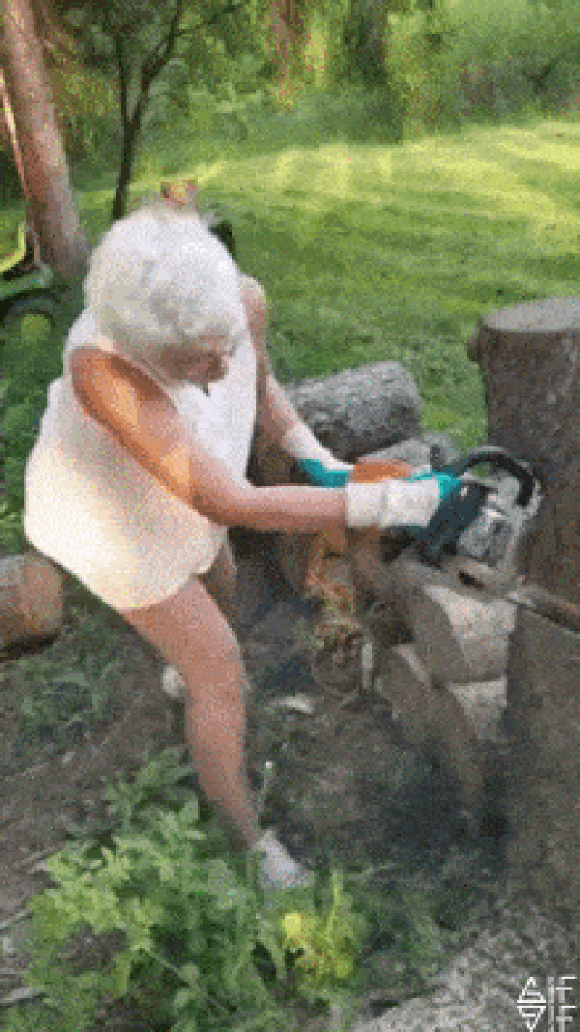 Cười “thả phanh” trong ngày đầu tuần với chùm ảnh động siêu hài hước