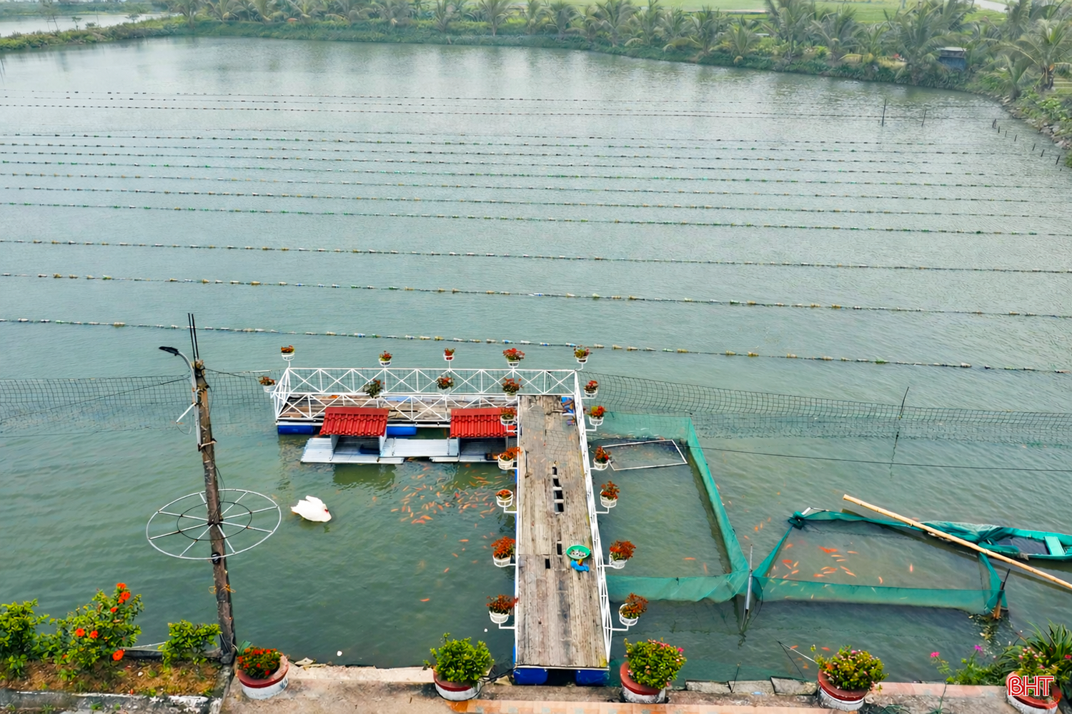 Mô hình còn cho thấy ưu điểm về mặt sinh thái khi tận dụng nguồn thức ăn tự nhiên trong nước, không sử dụng thức ăn công nghiệp và hóa chất. Đây được xem là hướng đi phù hợp trong phát triển nuôi trồng thủy sản theo hướng xanh gắn với bảo vệ môi trường và gia tăng giá trị trên cùng đơn vị mặt nước.