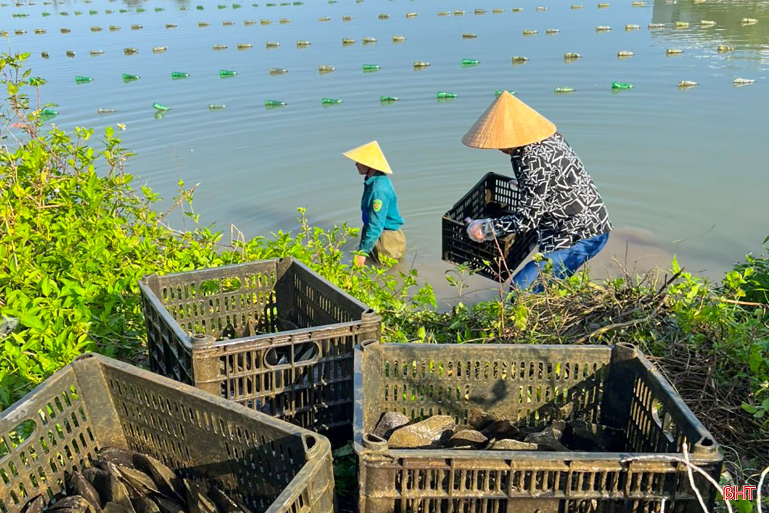 Sau gần 28 tháng triển khai, mô hình cho thấy hiệu quả khá rõ cả về kỹ thuật lẫn giá trị kinh tế.