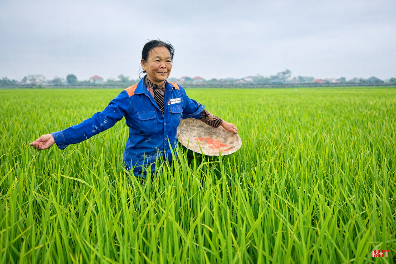 Bà Trần Thị Tứ (thôn Đông Vĩnh, xã Mai Phụ) chia sẻ: “Với kinh nghiệm làm nông, tôi kết hợp bón cân đối các phân gồm đạm, lân, kali... để cây lúa chắc bông, khỏe, hạn chế đổ rạp khi gặp mưa lớn, gió mạnh vào cuối tháng 4, đầu tháng 5”.