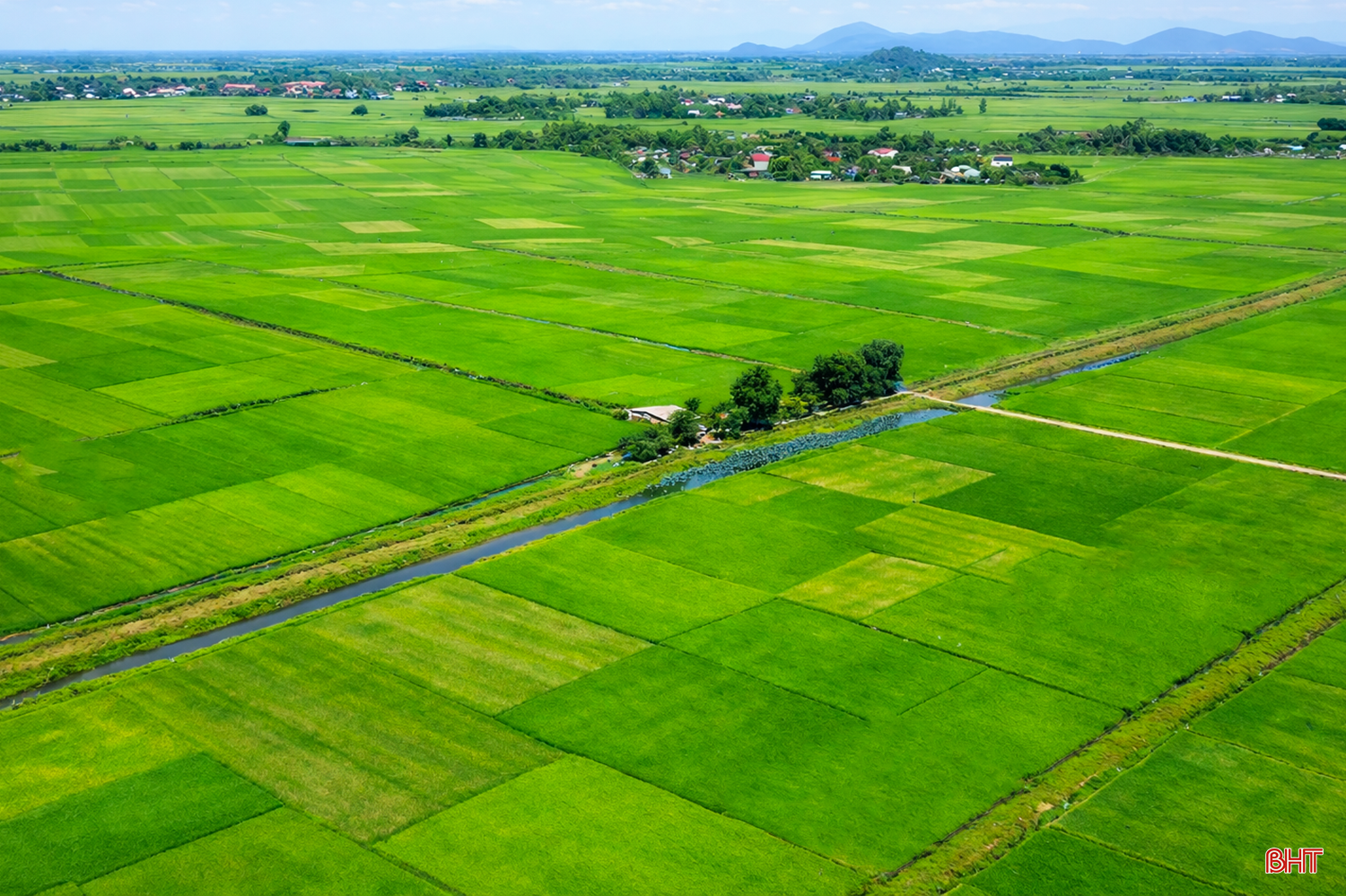 Vụ xuân năm nay, Hà Tĩnh sản xuất trên 59.000 ha lúa. Trên khắp các xứ đồng, lúa đang bước vào giai đoạn đứng cái - làm đòng, trải một màu xanh bạt ngàn, căng đầy sức sống.