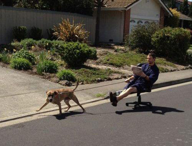 bo tay voi nhung ke luoi bieng nhat qua dat