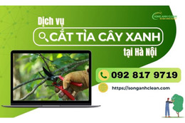 SONGANHCLEAN - dịch vụ cắt tỉa cây xanh Hà Nội chuyên nghiệp