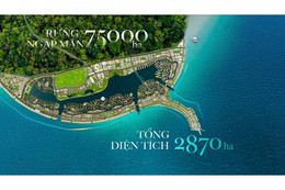 Mặt bằng dự án Vinhomes Green Paradise: Nên chọn loại hình nào?