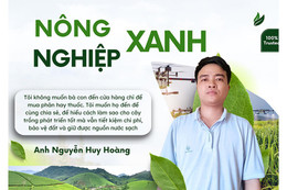 Người con Hà Tĩnh lập nghiệp "xanh" trên vùng đất Tây Nguyên