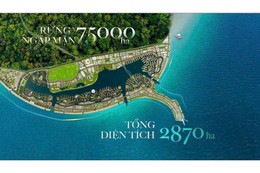 Lợi thế đầu tư biệt thự song lập Vinhomes Green Paradise Cần Giờ