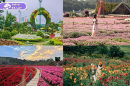 ThichDalat.com - cẩm nang du lịch Đà Lạt cập nhật thời tiết hàng ngày