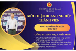 5 lý do doanh nghiệp nên chuyển sang pallet nhựa ngay hôm nay