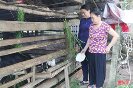 Mô hình sinh kế - “bệ đỡ” cho người nghèo Vũ Quang