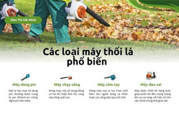 Máy thổi lá có những loại nào? Địa chỉ mua uy tín, chất lượng