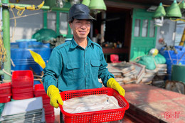 Ngư dân bội thu, tiểu thương phấn khởi 