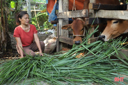 Hương Sơn tập trung thực hiện chương trình giảm nghèo bền vững