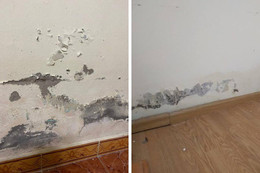 Vì sao tường nhà nhanh xuống cấp sau mỗi mùa mưa?