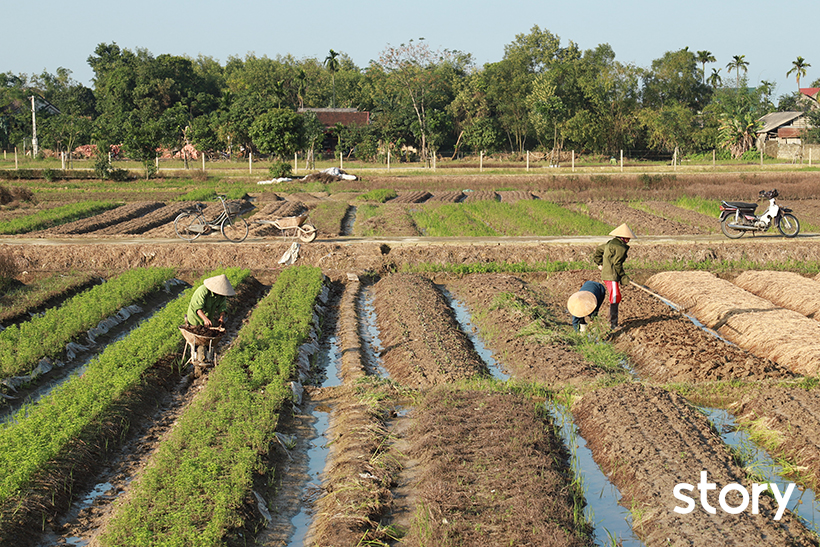 Nghề ăn cơm dưới đất, làm việc trên trời