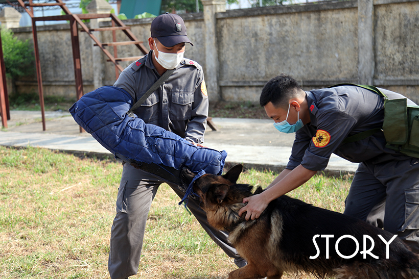 Tôi là bác sỹ “thú cưng”